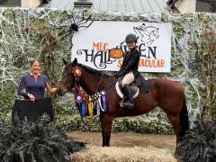 riding academy (2)