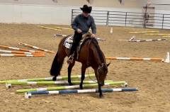 Lisa Bradley WESTERN