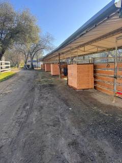 Barn D